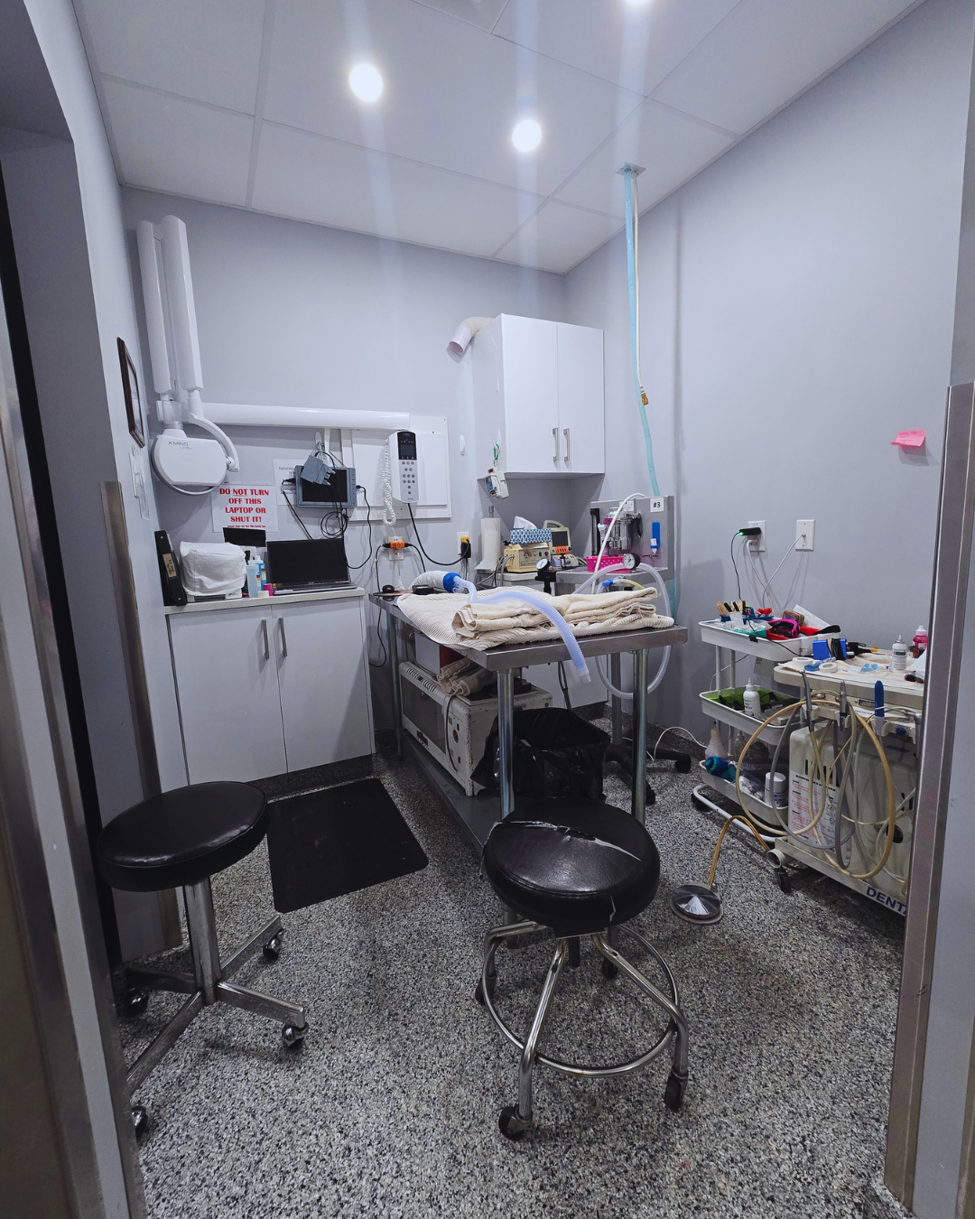 Dental