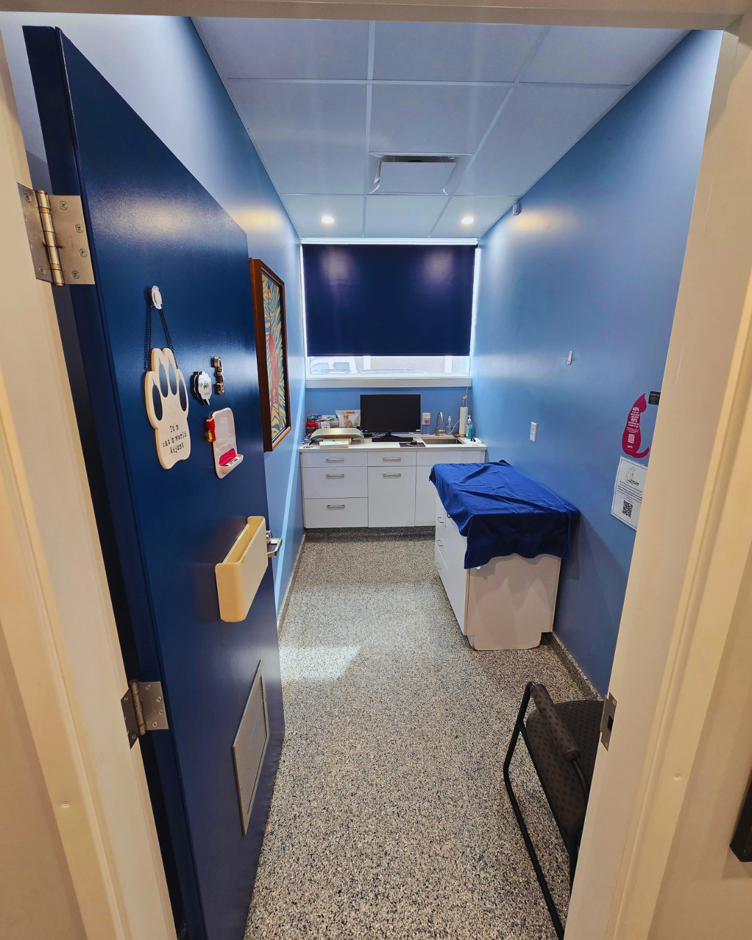 Exam Room 3 - Cats and Exotic Pets