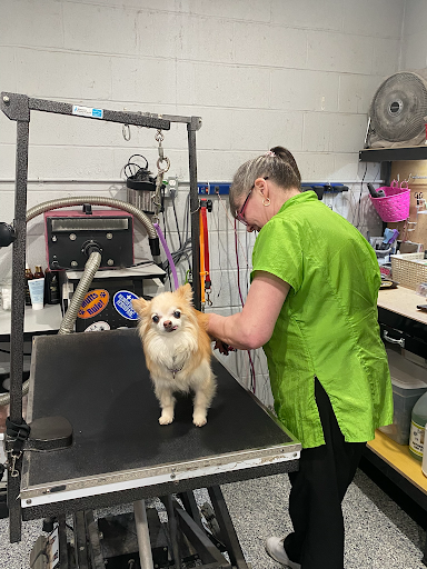 South Side Animal Hospital Grooming