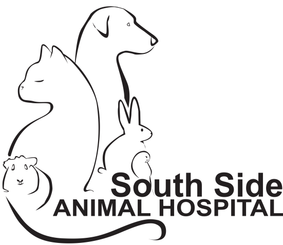 South Side Animal Hospital | AAHA-Accredited Veterinarian in South Edmonton