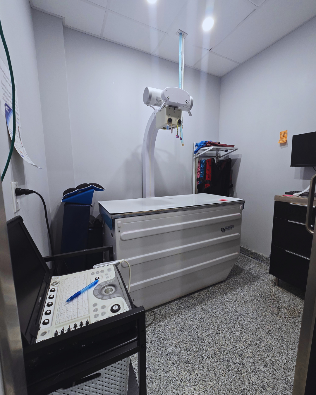 X-Ray and Ultrasounds